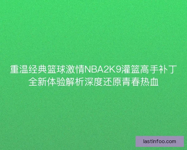 重温经典篮球激情NBA2K9灌篮高手补丁全新体验解析深度还原青春热血